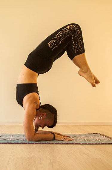 Prajna Shala | Studio Yoga